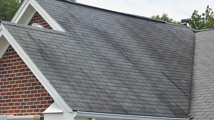 Mold covered roof needs maintained in Indianapolis